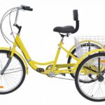 3 Wheel Bikes For Seniors: Top Picks Of The Year | Gear Affiti