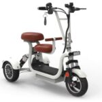 Folding Electric Tricycle Scooter Choose Best One